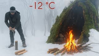 Survival Challenge in Snow and Blizzard: -12 °C Temperature Alone in the Deep forest and Cold Jungle