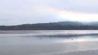 preview picture of video 'Bolinas Lagoon, CA'