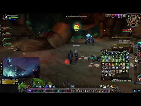 Soul Reaper Leveling! WoW Private Server - Conquest of Azeroth