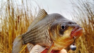 Ловля карася в ноябре на мормышку