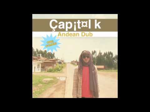 Capitol K - Cumbia Millipedes ( album version )