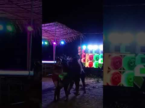 Erasmo cantor na crôa do Rio Parnaíba em Magalhães de Almeida-ma 2025