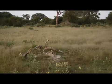 Djuma: Sights and sounds - 05:28 - 03/30/20