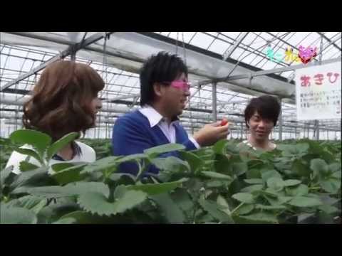 2024年3月放送分