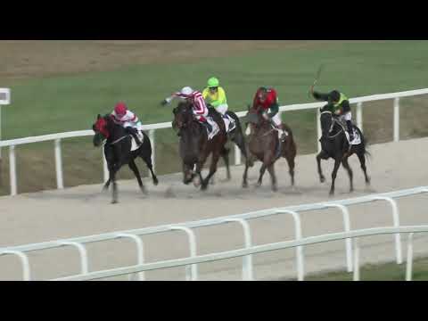 2018.04.01. 7. futam - PESTMEGYEI HENDIKEP (I.o.) (szintetikus pálya)