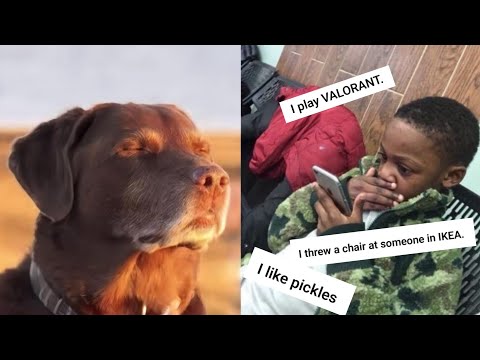 Your Wild Confessions