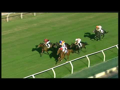 Galoppo 09/11/2020 - 1ª corsa