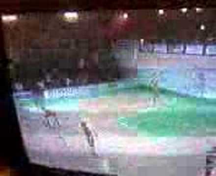 Archlegno Ostia- Falchi Ugento Lecce