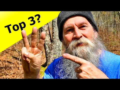 Top Reasons Young People are Leaving Big Cities for the Country