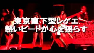 2012.6.27発売！【TRAILER】JUNGLE FEVER3　-SWAGG'IN DUB PLATE 50Hits MIX-