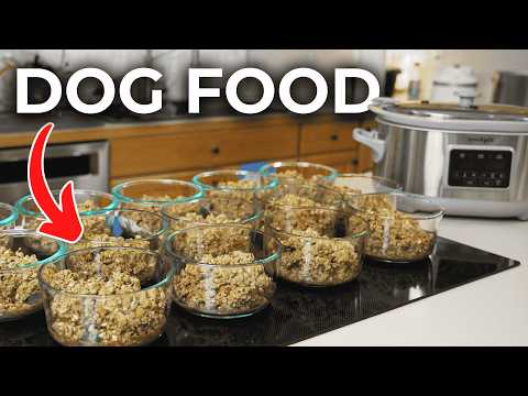 How I Make 14 Dog Meals in 1 Hour