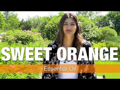 Orange Essential Oil