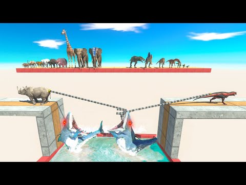 2.0 Modern Mammals vs Carnivores on Tug of War of King Shark  - Animal Revolt Battle Simulator