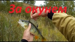 Ловить щуку и окуня в карьере