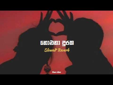 නොඑනා දුරක ⁻ Noena Duraka (Slowed⁺Reverb)