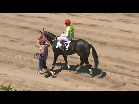 CARRERAS SINT FLORIDA - 221124 c01 1°  GALOPE MELLIZO 36