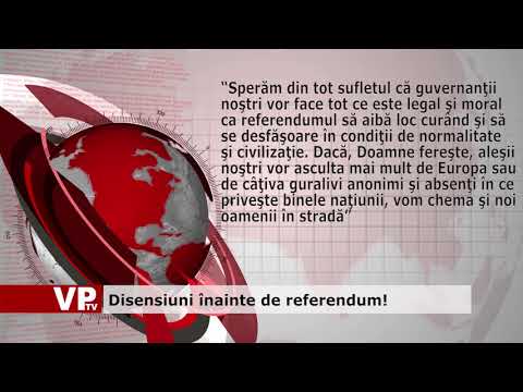 Disensiuni înainte de referendum