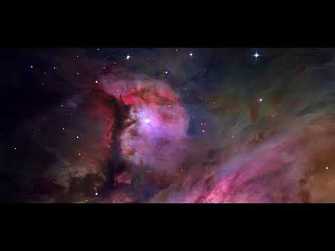 Synonym, Si-Klon, Sub-con5cience - Phobic Confinement (Cuts By DJ Coach One)