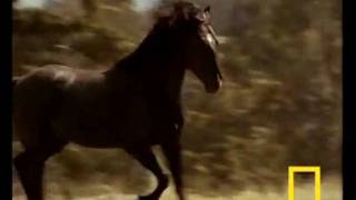 &quot;Pony (It&#39;s OK)&quot; - Erin McCarley ~ KARAOKE/INSTRUMENTAL