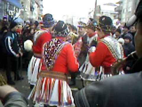 Arnauti de la Blebea 2010-2011