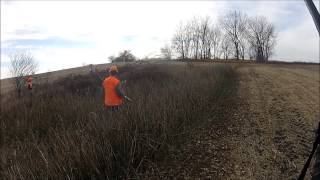 preview picture of video '5 hunters, 1 unlucky pheasant GoPro Camera'