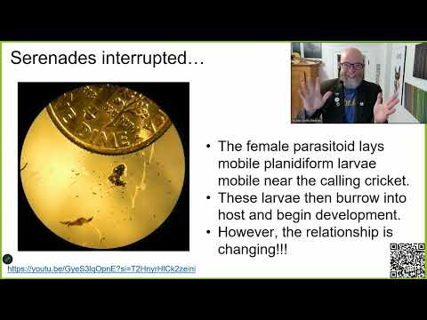 ZOO*3700 - Lecture 06- PWBB I - Mating and Molting