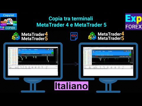 Video Exp5 COPYLOT MASTER for MT5