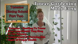 Tower Garden Tomatoe Cloning School Part Two #towergarden #tomatoes #garden #hydroponicgardening