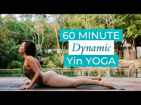 1 Hour Dynamic Yin Yoga for Full-Body Stretch for Flexibility | Increase Mobility & Release Tension