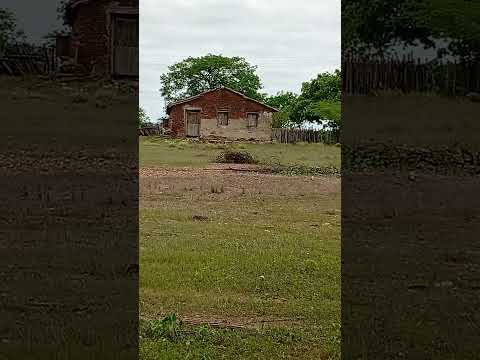 #flyppppppppppppppppppppppppppppppp a casa mais velha de boa vista paraíba