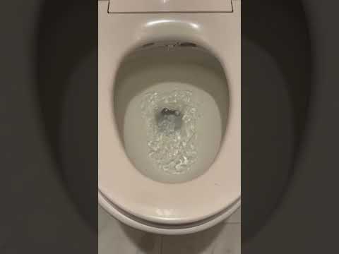 Video Thumbnail Video Thumbnail