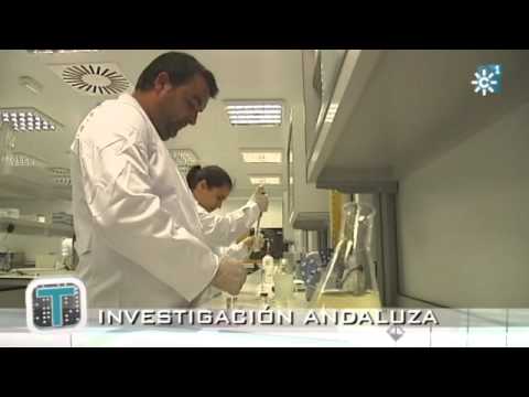 "Tecnópolis" domingo 29 de mayo de 2011