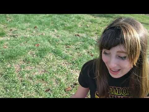 princess peach and Bowser Jr on an escape run