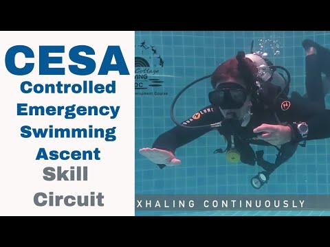PADI CESA Demonstration 🤟 Divemaster & Instructor PADI IDC Skill Circuit