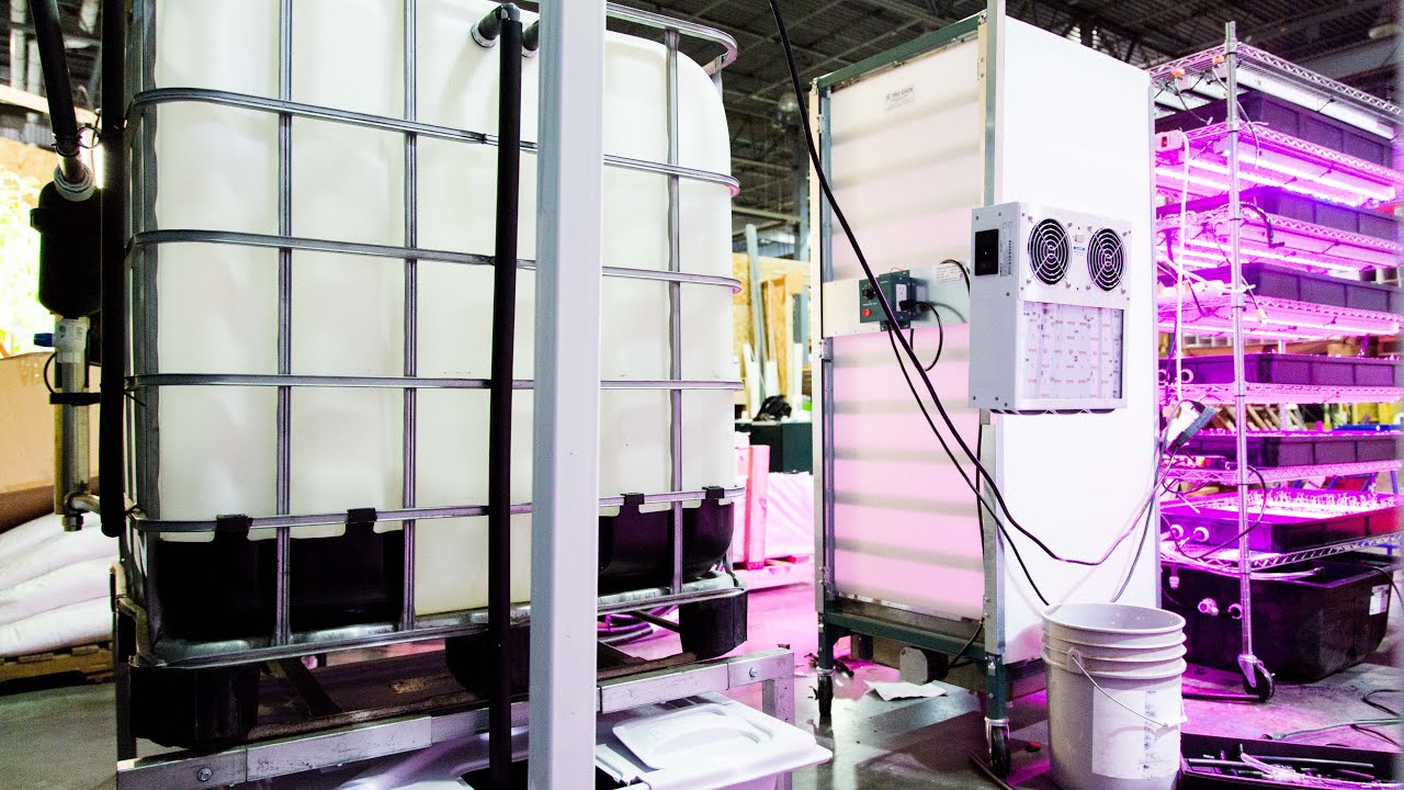 A Beginners Guide: Hydroponic Design