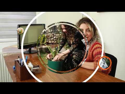 8'Ê ADARÊ MORDEM HUNER