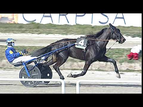 Napoli Trotto 17/02/2023 - 1ª corsa