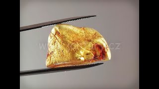 Okno do baltského jantaru PO-3