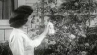Madame Blavatsky Overdrive-Self Replicating Machine Elves