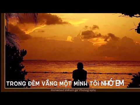 Nỗi nhớ thét gào - Vũ Đức Võ