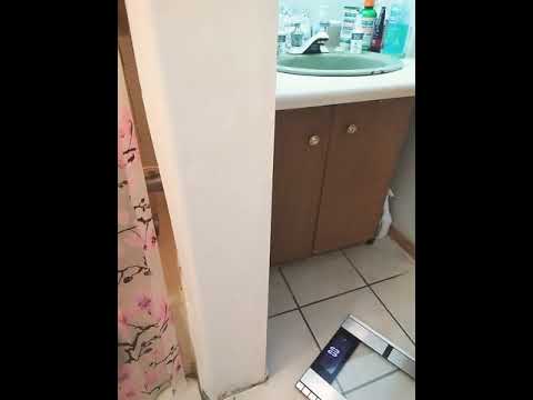 Weight loss update with the Nutrisystem!