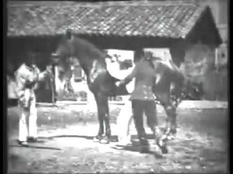 "Horse Trick Riders" (Lumière Brothers, France, 1895)