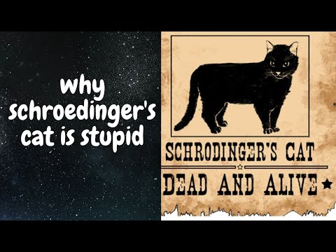 Why Schrodinger's Cat is stupid