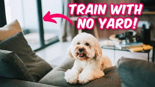 How to TRAIN Your Dog When Living in an Apartment!