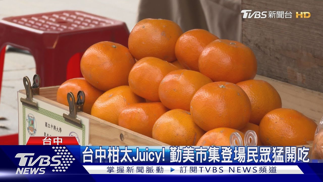 台中柑太Juicy！　勤美市集登場民眾猛開吃