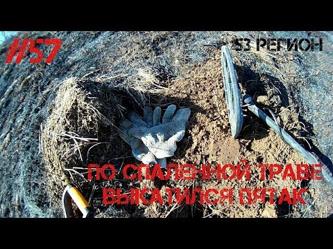 Поисковые прогулки с МД #57 - По спаленной траве Выкатился пятак