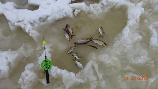 Рыбалка на десногорском водохранилище д богданово 2019г
