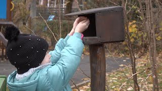 Napraforgó, alma, víz: így segítsük télen a madarakat