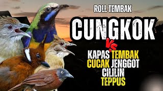 Download lagu Masteran Murai Batu Besetan Kasar Tembak Panjang !!! Murai Auto Gacor mp3 Download lagu Masteran Murai Batu Besetan Kasar Tembak Panjang !!! Murai Auto Gacor mp3