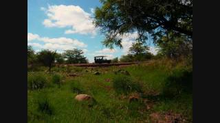 preview picture of video 'Pumba Lodge Dinokeng'
